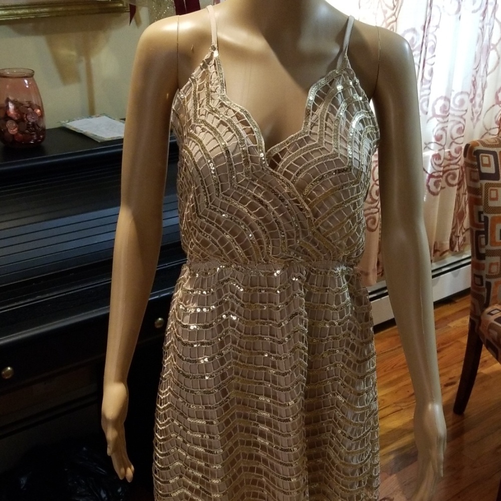 Dress  Charlotte Russe